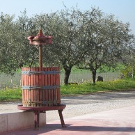 BERGAMINI AZIENDA AGRICOLA