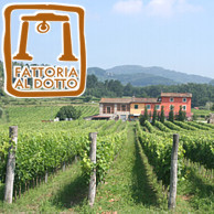 FATTORIA AL DOTTO