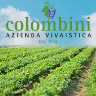 COLOMBINI VIVAI