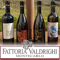 FATTORIA VALDRIGHI