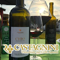 VINI APUANI - CASTAGNINI