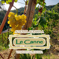 AZIENDA AGRICOLA LE CANNE