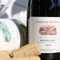 FATTORIA DEL TESO