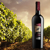 AZIENDA VINICOLA CONTINI SPA